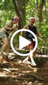 BIB:  <button type="button" onclick="openModal(27587901)" class="btn btn-primary btn-sm float-right" data-toggle="modal" data-target=".modal-high-quality">
                <i class="fa fa-download"></i> Download
                </button>